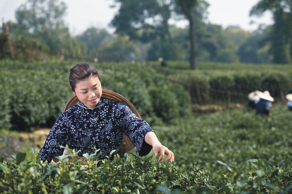 Landison Longjing Resort Ханчжоу Экстерьер фото